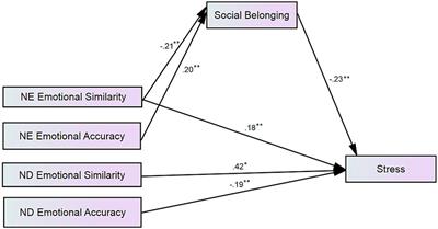 The role of emotional similarity and emotional accuracy in belonging and stress among first-generation and continuing-generation students